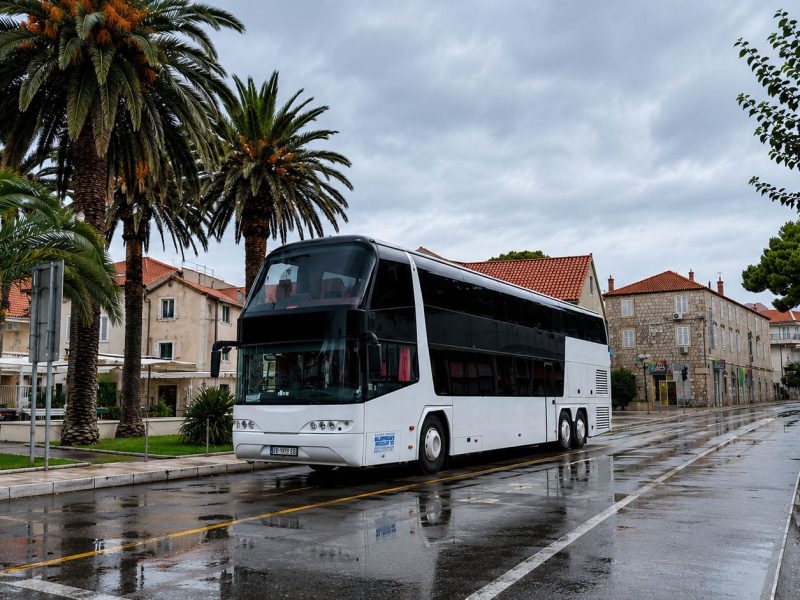 autobus1 autobus1